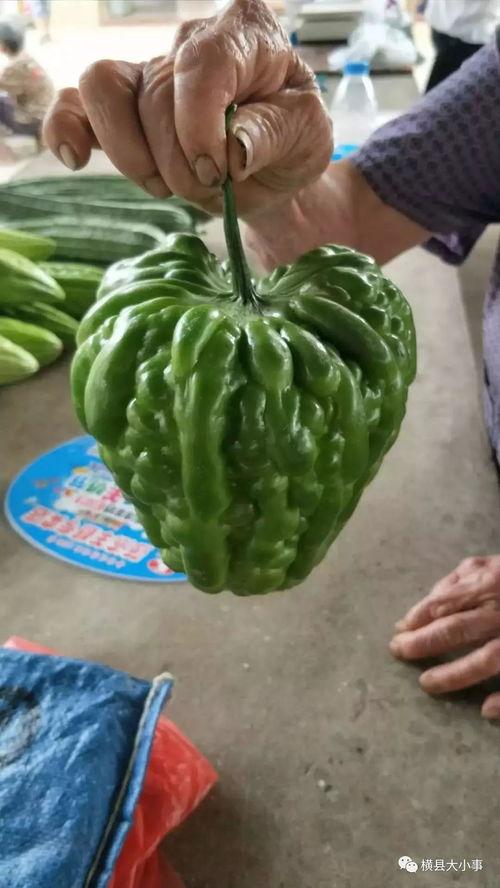 临沂最新瓜爆料,揭秘临沂最新热点事件内幕 第3张 临沂最新瓜爆料,揭秘临沂最新热点事件内幕 第3张